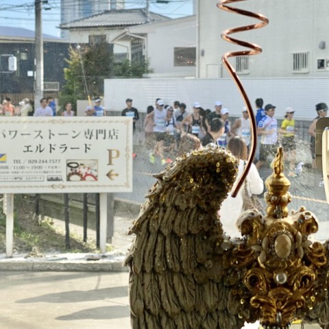 10月27日　水戸黄門漫遊マラソンサムネイル